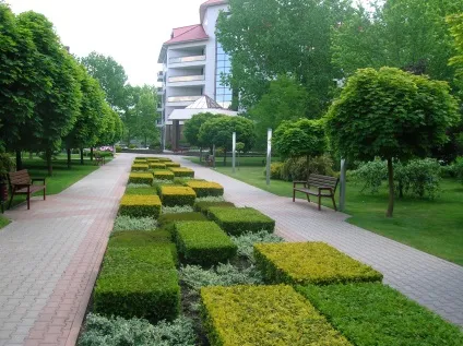 Ландшафтний дизайн скверу в Харкові, ландшафтна студія derevo park (дизайн) Ландшафтний дизайн скверу в Харкові, ландшафтна студія derevo park