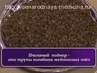 Лікування щитовидної залози народними засобами, народна медицина (народними) Лікування щитовидної залози народними засобами, народна медицина
