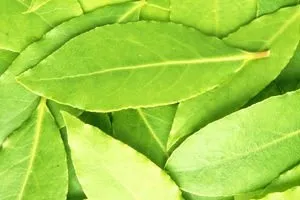 Лікування пітниці народними засобами (близько чверті години) Лікування пітниці народними засобами