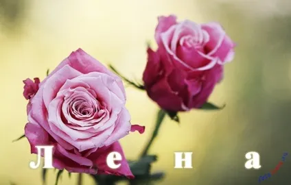 Лена, я люблю тебе (18картінок), картинки з іменами (люблю) Лена, я люблю тебе (18картінок), картинки з іменами