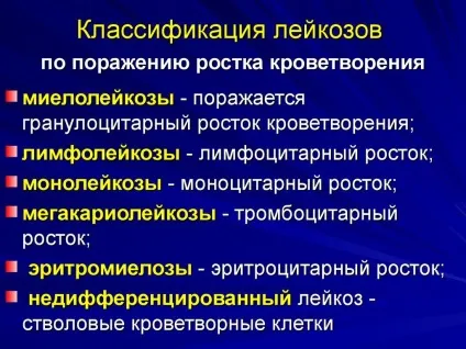 Лейкоз крові - класифікація і види, причини, симптоми захворювання (причини) Лейкоз крові - класифікація і види, причини, симптоми захворювання