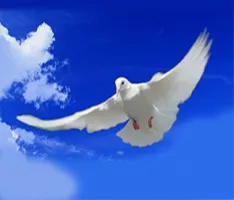Лучик світла - християнська сторінка мудрі висловлювання про молитву (Іоанн Злотоуста) Лучик світла - християнська сторінка мудрі висловлювання про молитву