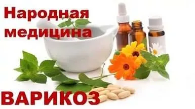 Кращі народні рецепти від варикозу - найефективніші народні засоби (рецепти) Кращі народні рецепти від варикозу - найефективніші народні засоби