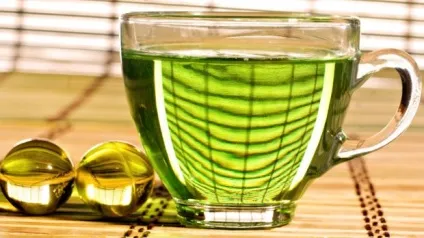 Лофант анісовий корисні властивості, застосування, протипоказання (лофант анісовий користь і шкода) Лофант анісовий корисні властивості, застосування, протипоказання