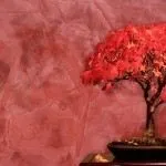 Оздоблення декоративною штукатуркою стін, стелі у ванній, спальні - фото ремонту, варіанти, як (декоративної) Оздоблення декоративною штукатуркою стін, стелі у ванній, спальні - фото ремонту, варіанти, як