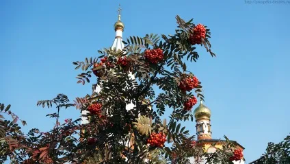 Осіння депресія як позбутися і прогнати осінню смуток! Проспект бажань (осінню) Осіння депресія як позбутися і прогнати осінню смуток! проспект бажань