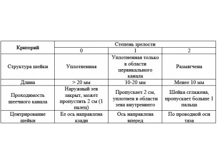 Особливості будови матки жінки в звичайний час і при вагітності (жінки) Особливості будови матки жінки в звичайний час і при вагітності
