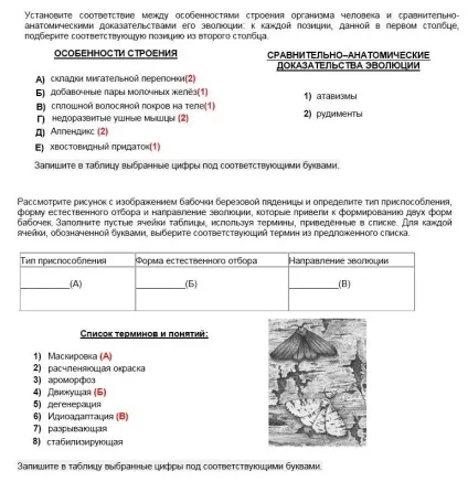 Відповіді на тести ФІПІ відкритого банку завдань ЄДІ (відповіді з біології на завдання ФІПІ) Відповіді на тести ФІПІ відкритого банку завдань ЄДІ
