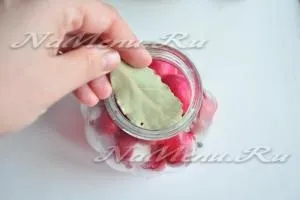 Маринована редиска на зиму, рецепт з фото (маринована) Маринована редиска на зиму, рецепт з фото