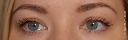 Макіяж з тушшю chanel - prune і рум'янами rose glacier (rose) Макіяж з тушшю chanel - prune і рум'янами rose glacier