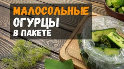 Малосольні огірки в пакеті з часником і кропом 5 швидких рецептів малосольних огірків (кропом) Малосольні огірки в пакеті з часником і кропом 5 швидких рецептів малосольних огірків