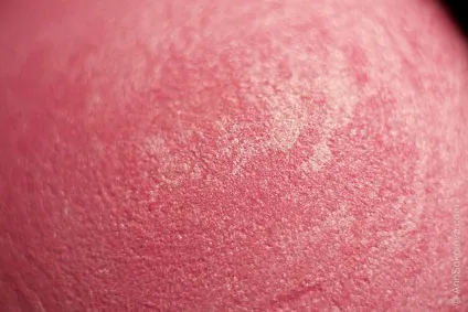 Макіяж з тушшю chanel - prune і рум'янами rose glacier (chanel) Макіяж з тушшю chanel - prune і рум'янами rose glacier