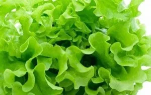 Маски для обличчя з весняної зелені