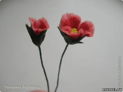 Майстер клас ліплення квітки фіалки з холодного фарфору - квіти з полімерної глини - полімерна (холодного) Майстер клас ліплення квітки фіалки з холодного фарфору - квіти з полімерної глини - полімерна