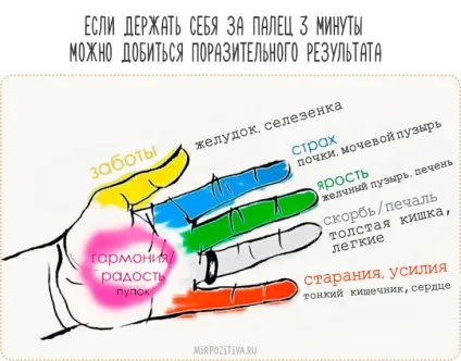 Масаж пальців - таємна сила ваших рук (руки) Масаж пальців - таємна сила ваших рук