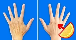 Математики придумали, як розрізати піцу, щоб кожному дістався ідеальний шматочок (піцу) Математики придумали, як розрізати піцу, щоб кожному дістався ідеальний шматочок