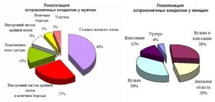 Мазь від кондилом коли застосовувати і яку краще вибрати (день протягом тижнів) Мазь від кондилом коли застосовувати і яку краще вибрати