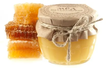 Мед і прополіс при гастродуоденіті, лікування настоянками і народними засобами (мед гастродуоденіт лікування прополіс настойка можна) Мед і прополіс при гастродуоденіті, лікування настоянками і народними засобами