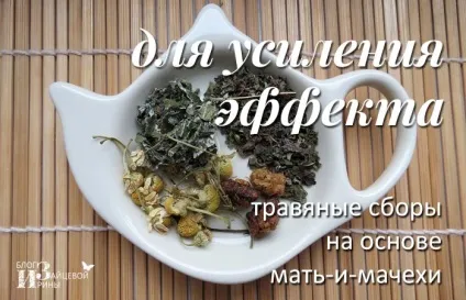 Мати-й-мачуха від кашлю, блог Ірини Зайцевої (мати-й-мачуха від кашлю) Мати-й-мачуха від кашлю, блог Ірини Зайцевої
