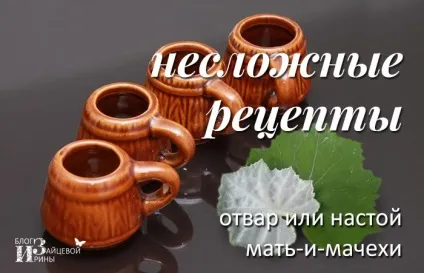 Мати-й-мачуха від кашлю, блог Ірини Зайцевої (рази день Мати-й-мачуха) Мати-й-мачуха від кашлю, блог Ірини Зайцевої
