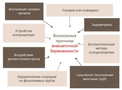 Маточні труби