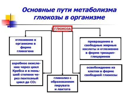 Мельдоній істинний енергетик, clevermindru