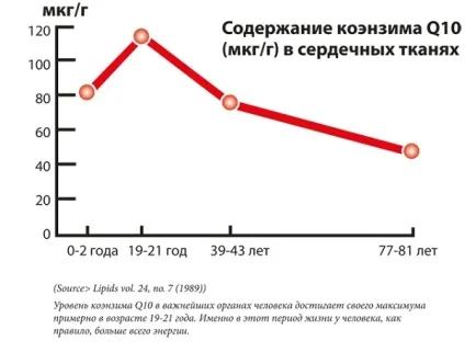 Мельдоній істинний енергетик, clevermindru