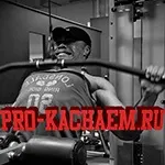 М'язи стабілізатори - pro-kach - бодібілдинг для початківців (м'язи стабілізатори) М'язи стабілізатори - pro-kach - бодібілдинг для початківців