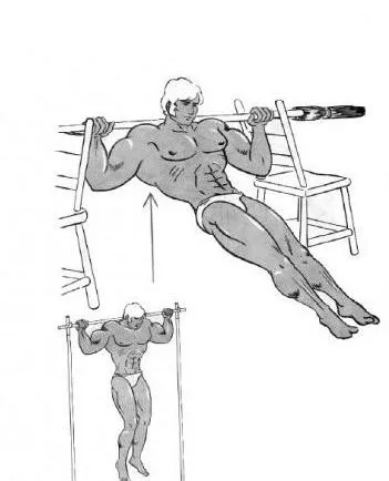 М'яз велика кругла, перетворення в спортзалі і вдома (кругла) М'яз велика кругла, перетворення в спортзалі і вдома