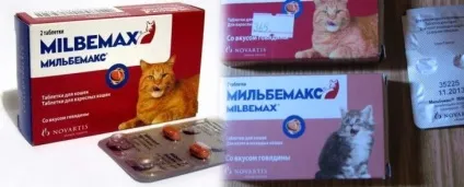 Мільбемакс для кішок - інструкція із застосування, ціна, відгуки, сайт «мурло» (застосування) Мільбемакс для кішок - інструкція із застосування, ціна, відгуки, сайт «мурло»