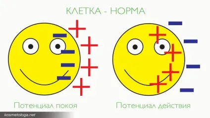 Мікроструми - омолодження з доведеною ефективністю (мікроструми) Мікроструми - омолодження з доведеною ефективністю