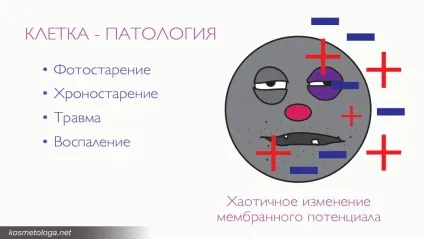 Мікроструми - омолодження з доведеною ефективністю (омолодження) Мікроструми - омолодження з доведеною ефективністю
