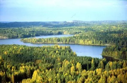 Світові запаси деревини (одну людину припадає) Світові запаси деревини