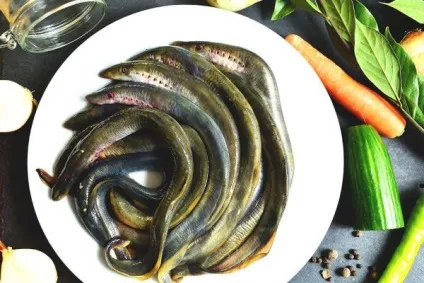 Міноги мариновані рецепт з фото, як приготувати вдома (приготувати) Міноги мариновані рецепт з фото, як приготувати вдома