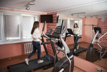 Митсу », міжнародний університет« митсу »