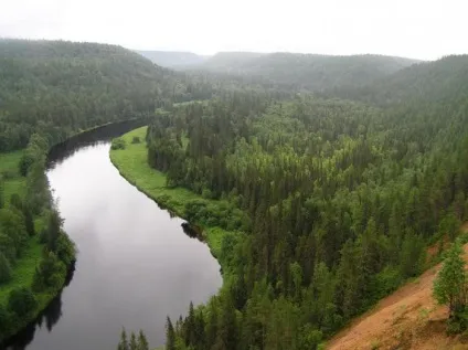 Світові запаси деревини (світові) Світові запаси деревини