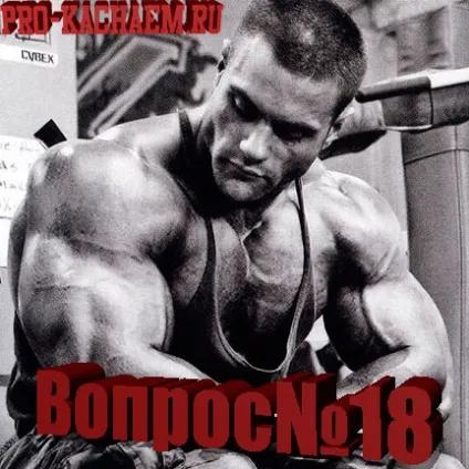 М'язи стабілізатори - pro-kach - бодібілдинг для початківців (стабілізатори) М'язи стабілізатори - pro-kach - бодібілдинг для початківців