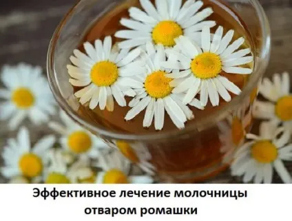 Молочниця під час і після місячних чим і як лікувати
