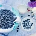 Чи можна веганам шоколад вся правда про солодкий ласощах (можна веганам шоколад) Чи можна веганам шоколад вся правда про солодкий ласощах