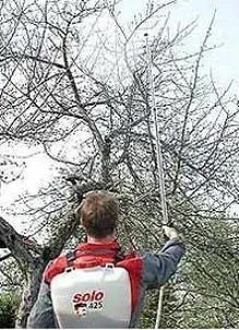 Чи можна обприскувати дерева під час цвітіння або краще цього не робити (можна) Чи можна обприскувати дерева під час цвітіння або краще цього не робити
