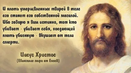 Чи можна християнам їсти свинину історія і офіційна думка церкви (свинину) Чи можна християнам їсти свинину історія і офіційна думка церкви