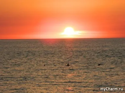 Мій відпустку по морях, по хвилях))) щоденник користувача таністая (чорне море) Мій відпустку по морях, по хвилях))) щоденник користувача таністая