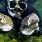 На якому сайті подивитися будинок-2 чи знаєте ви, де територіально розташовується телепроект (телепроект) На якому сайті подивитися будинок-2 чи знаєте ви, де територіально розташовується телепроект
