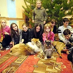Наші послуги