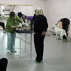 Наші послуги