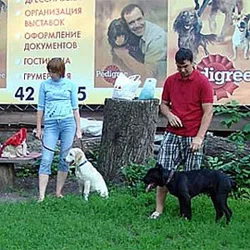 Наші послуги