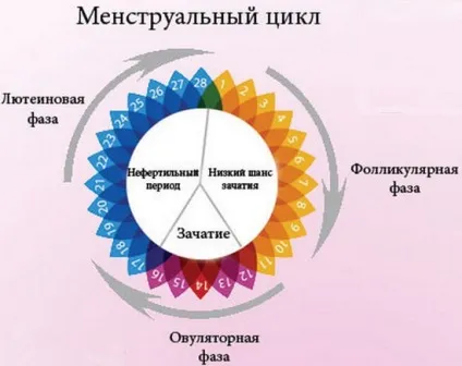 Порушення менструального циклу причини, лікування (причини) Порушення менструального циклу причини, лікування