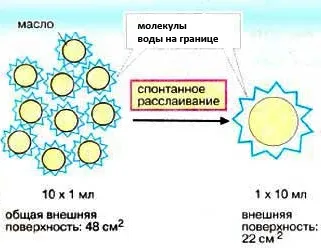 Неорганічні речовини - студопедія (речовини) Неорганічні речовини - студопедія