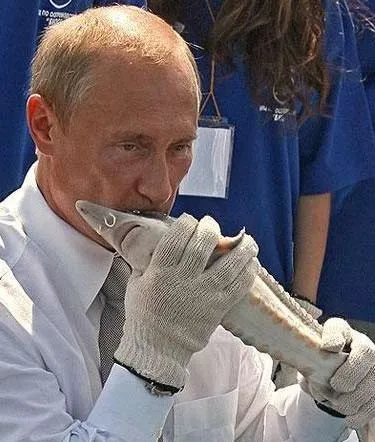 Трохи історії про рибу