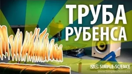 Несправність фотоапарат nikon завис (несправності) Несправність фотоапарат nikon завис